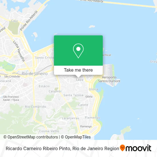 Ricardo Carneiro Ribeiro Pinto map