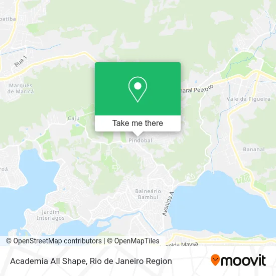 Academia All Shape map
