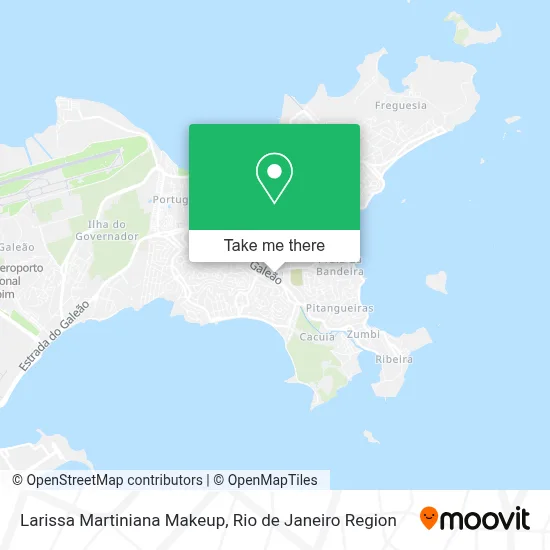 Larissa Martiniana Makeup map