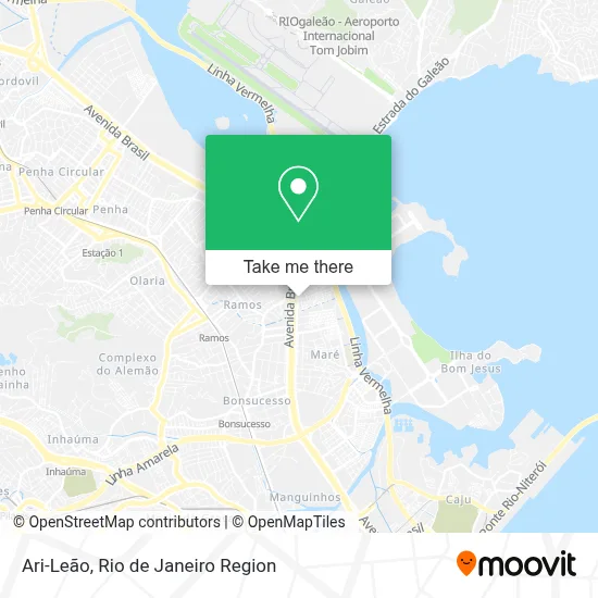 Ari-Leão map