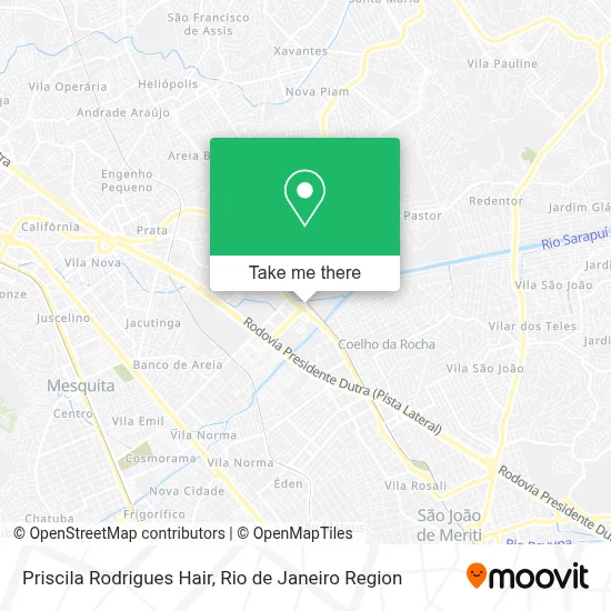 Priscila Rodrigues Hair map