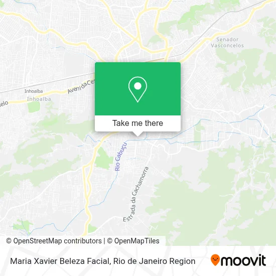 Maria Xavier Beleza Facial map