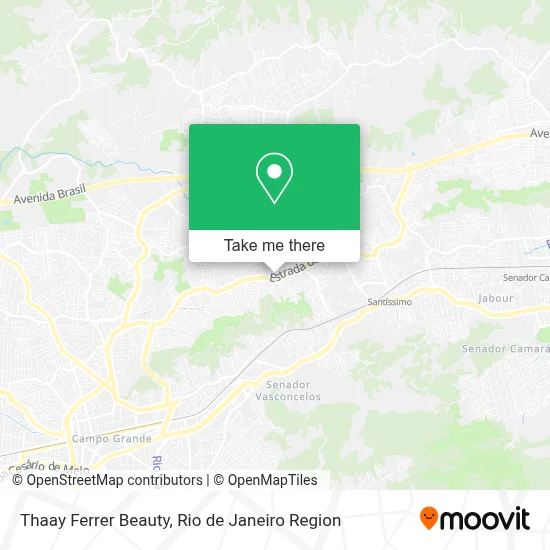 Thaay Ferrer Beauty map