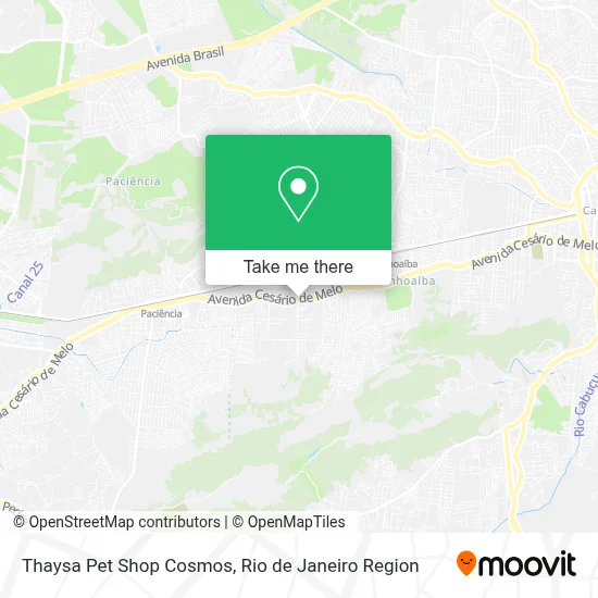 Thaysa Pet Shop Cosmos map