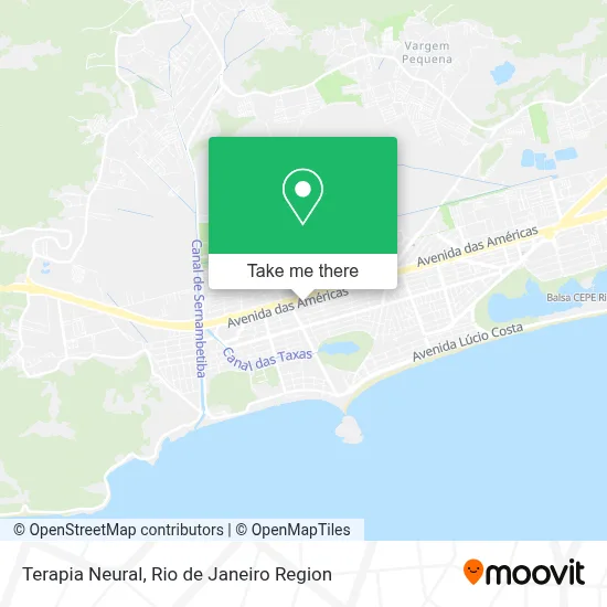 Terapia Neural map