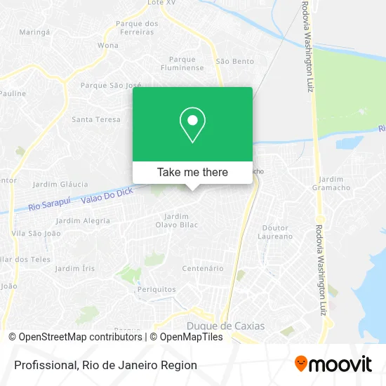 Profissional map