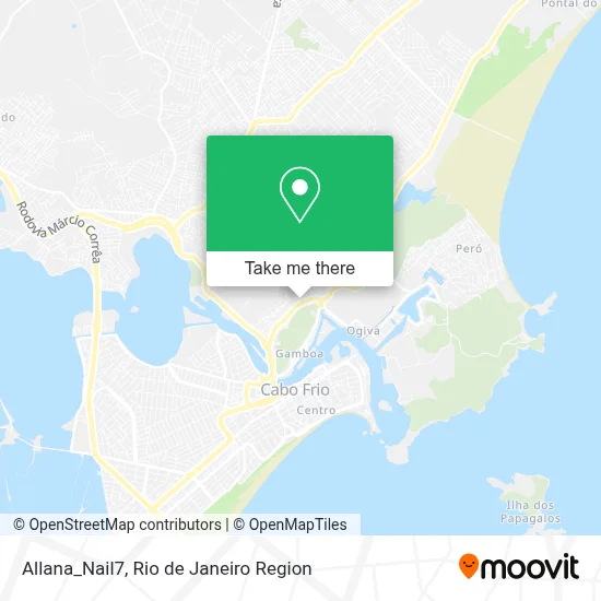 Allana_Nail7 map