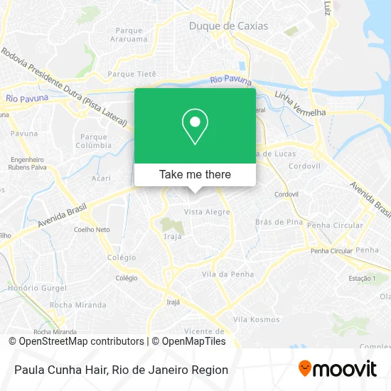 Paula Cunha Hair map