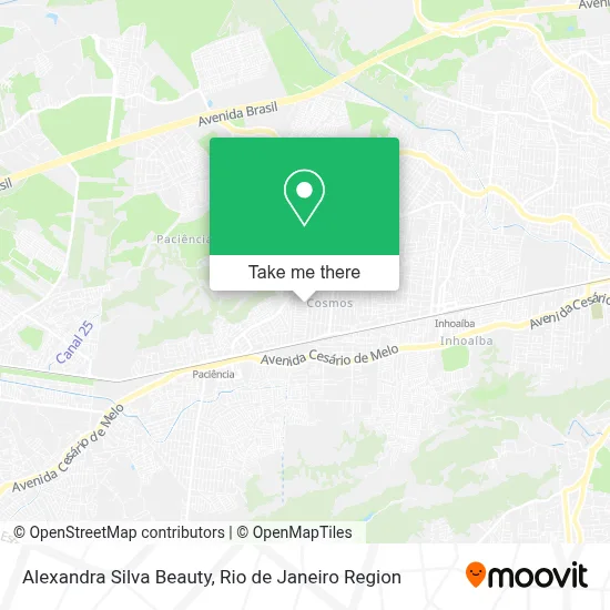 Alexandra Silva Beauty map