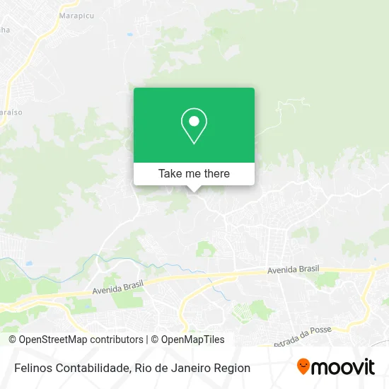 Felinos Contabilidade map