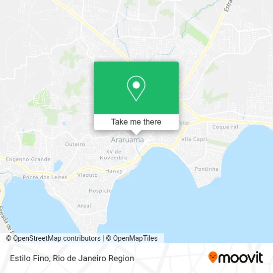 Estilo Fino map