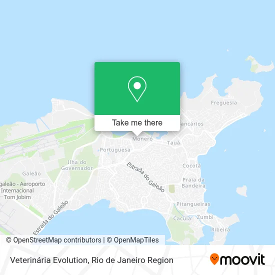 Veterinária Evolution map