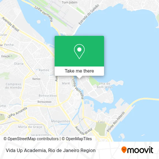 Vida Up Academia map
