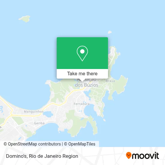 Domino's map