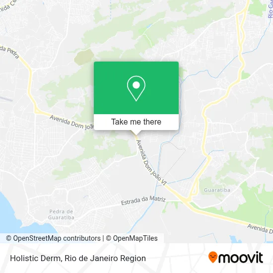 Holistic Derm map