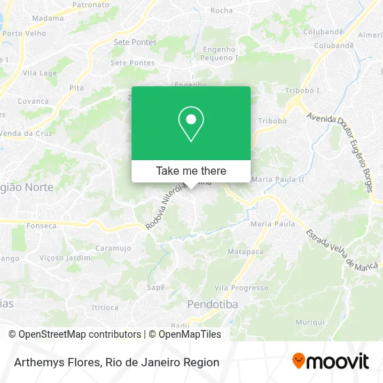 Arthemys Flores map