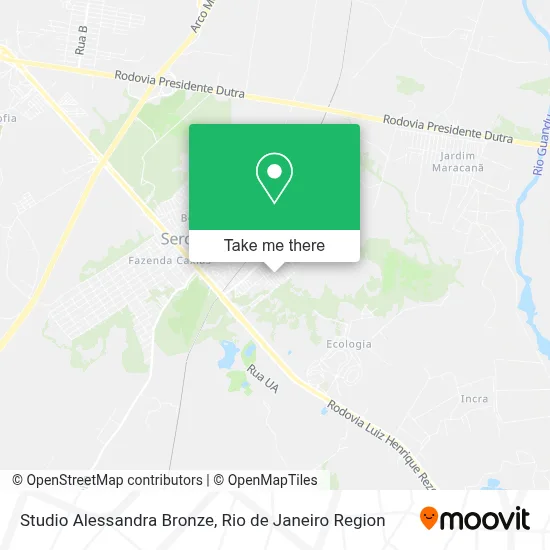 Studio Alessandra Bronze map