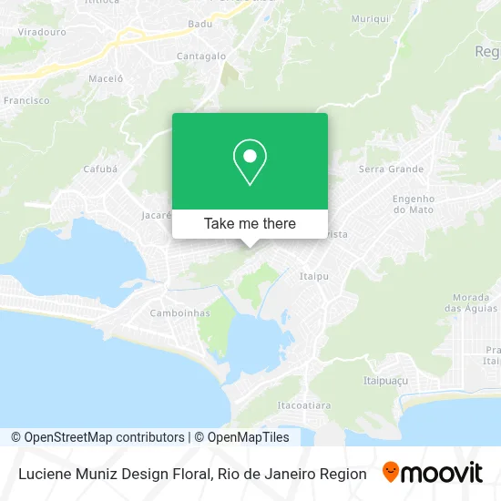 Luciene Muniz Design Floral map