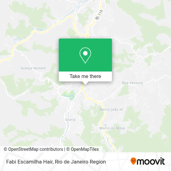 Fabi Escamilha Hair map
