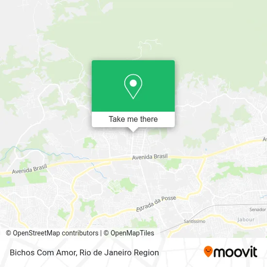 Bichos Com Amor map