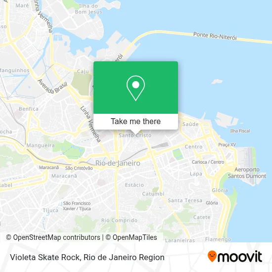 Violeta Skate Rock map