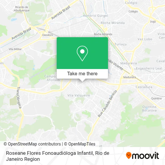 Roseane Flores Fonoaudióloga Infantil map