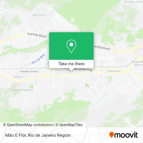 Mão E Flor map