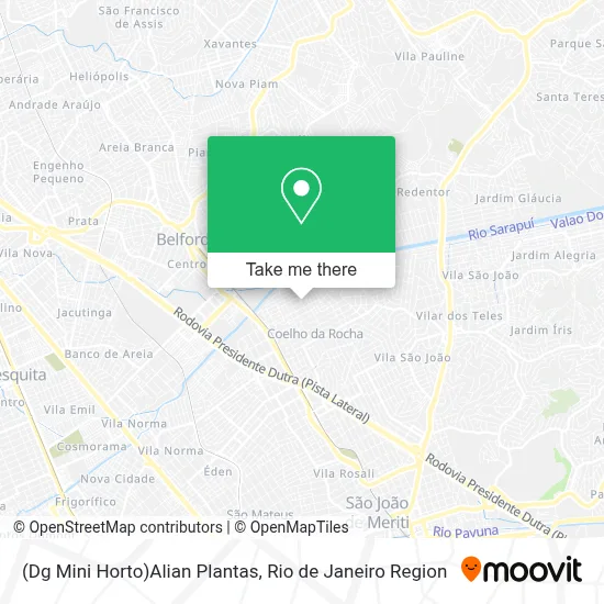 (Dg Mini Horto)Alian Plantas map