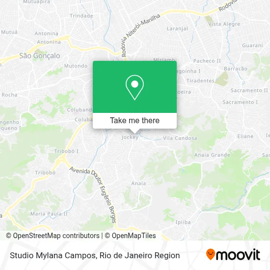 Studio Mylana Campos map
