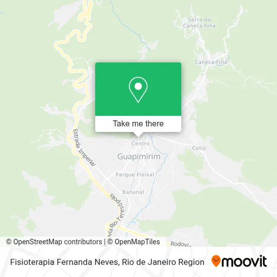 Fisioterapia Fernanda Neves map