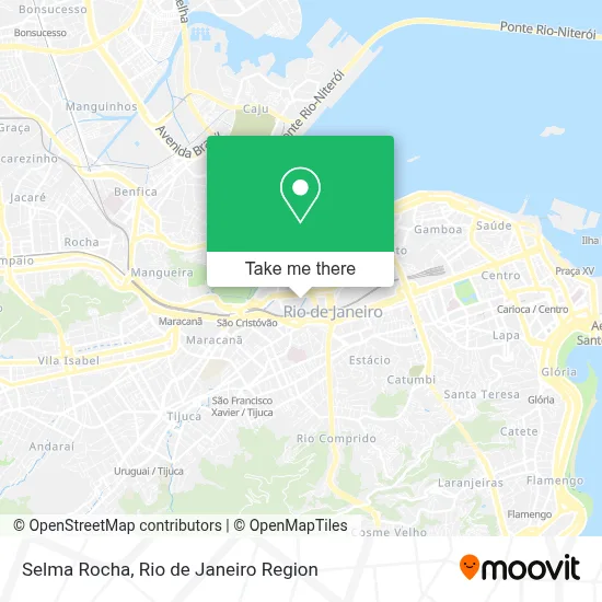 Selma Rocha map