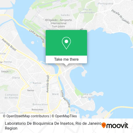 Laboratorio De Bioquimica De Insetos map