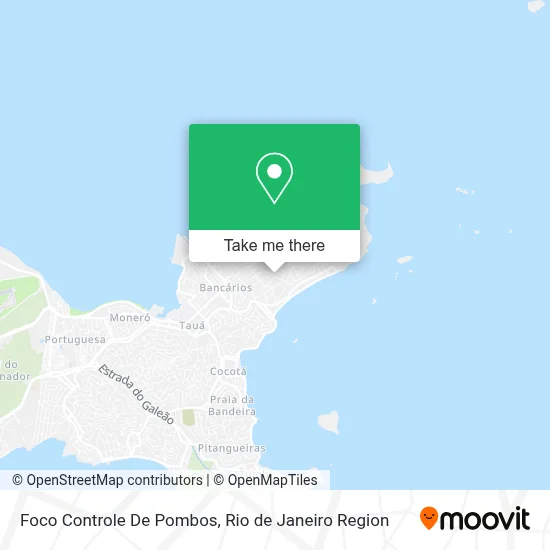 Foco Controle De Pombos map