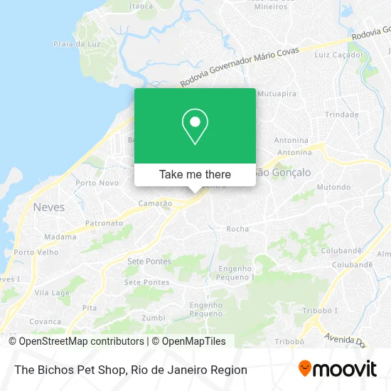 The Bichos Pet Shop map