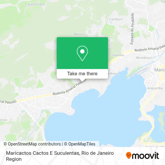 Maricactos Cactos E Suculentas map