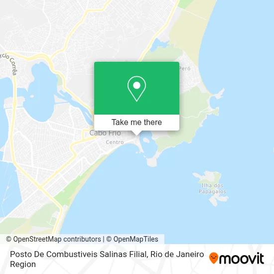 Posto De Combustiveis Salinas Filial map