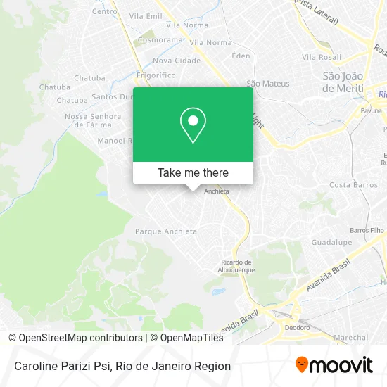 Caroline Parizi Psi map