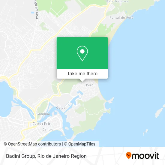 Badini Group map
