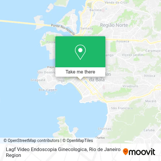 Lagf Video Endoscopia Ginecologica map