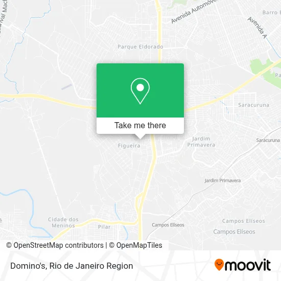 Domino's map