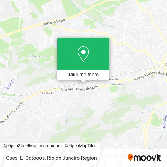 Caes_E_Gatooos map