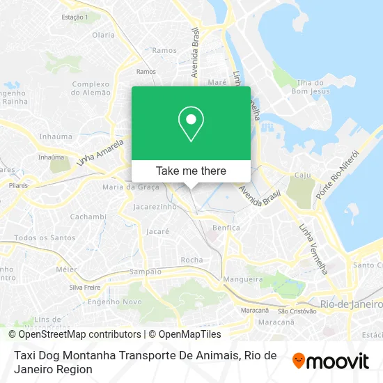 Taxi Dog Montanha Transporte De Animais map