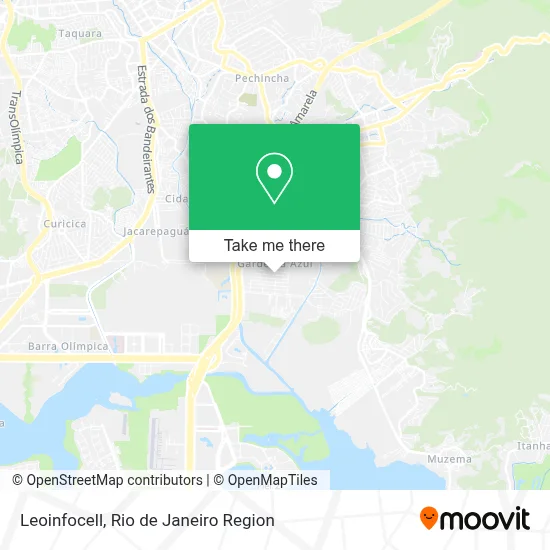 Leoinfocell map