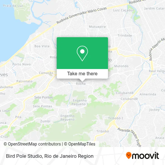 Bird Pole Studio map