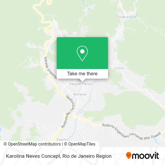 Karolina Neves Concept map