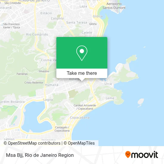 Msa Bjj map