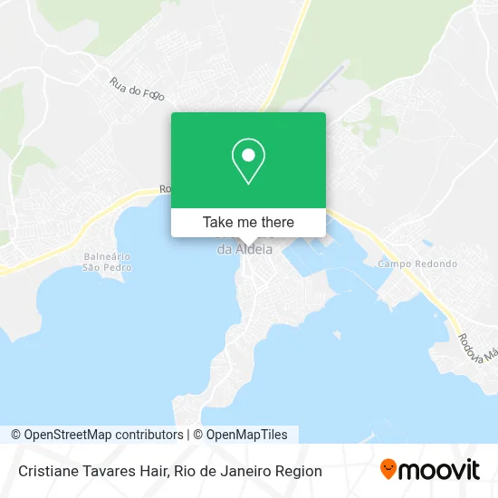 Cristiane Tavares Hair map
