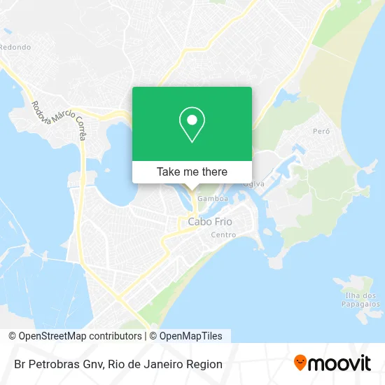 Br Petrobras Gnv map
