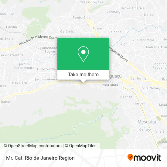 Mr. Cat map