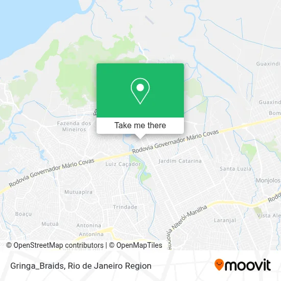 Gringa_Braids map